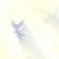Cloudy Dreams