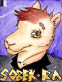 Sobek-Ra Badge BLFC'14