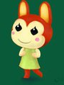 Bunnie