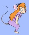 Curious Gadget