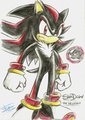 Shadow the Hedgehog