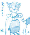 Stream sketch 6