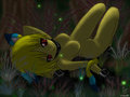 Fireflies?