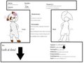 Sonic OC Ref by ChanBella