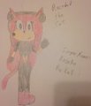 Rosebud "Rosie" the Cat