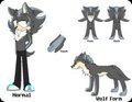 Dusk The Hedgehog Refs