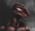 Ignis by Chanrom