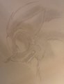 Werehog Sketch