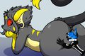 Kuro's Snuggle Booty