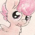 Orange Filly