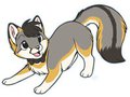 Look at my tail! by RepoFox