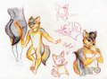 Sketch page