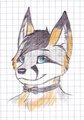 Bust