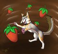 Strawberries!