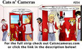 Cats n Cameras Strip #254 - Something Different