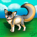 That tail