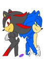 Base Colored Hedgie Booty