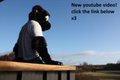 Fursuit video: Showing of Shadow!