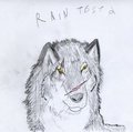 Rain test