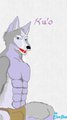 Ku'o Coyote by EloeElwe