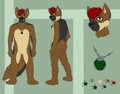 Reference Sheet - German Shepard