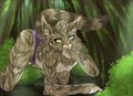Maine coon Bby by Polefox