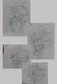 It's free (part 2) Sonadow