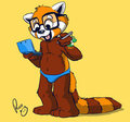 Pablo the red Panda