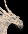Argent, My Guardian Dragon by EloeElwe
