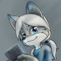 My New 3DS! by MaverickSkye