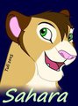 Sahara Badge by Tuli