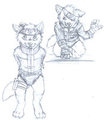 Te'targa and Loupy paws village ninja by Loupy