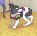Chasing His Tail