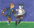 Soccer