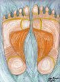 Feet Color 