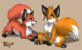 Koro & Kora as cub [Old] from 2007 by HornyFox