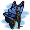 Mariposa by DranixParemoon