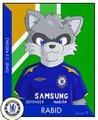 Rabid Raccoon Football Card by RabidRaccoon
