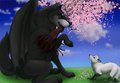 [Com] Three Years