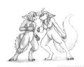 Coffee Fight [Commission]