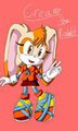 My boom design of Cream the Rabbit