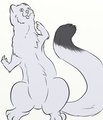 Fursona-Beta Phase