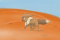 Vee Morning Jog