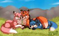 Summer Cuddles by HornyFox