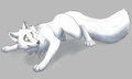 Arctic Fox
