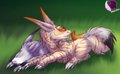 One Eyed Fluffbutts