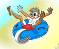 Water slide Egger