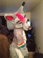 My Fursuit