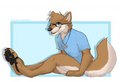 Xander - by CariFoxleopard by Xanderblaze