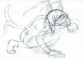 Practice: Litzy sketches